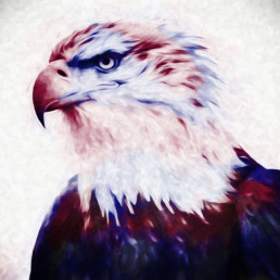 RWB Freedom Eagle