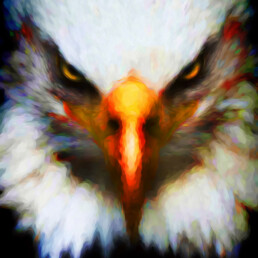 American Spirit Eagle