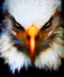 American Spirit Eagle
